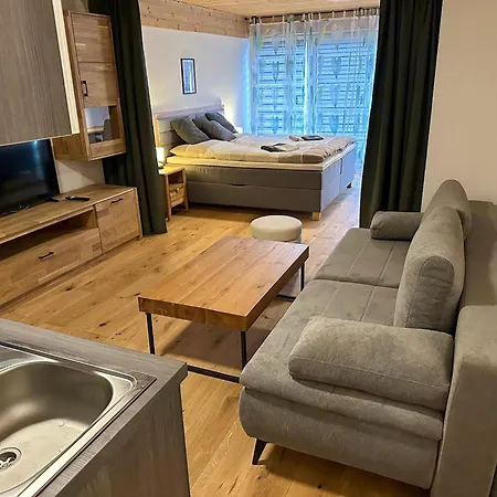 In Near Slopes, Cleaning Included Apartment Saalfelden