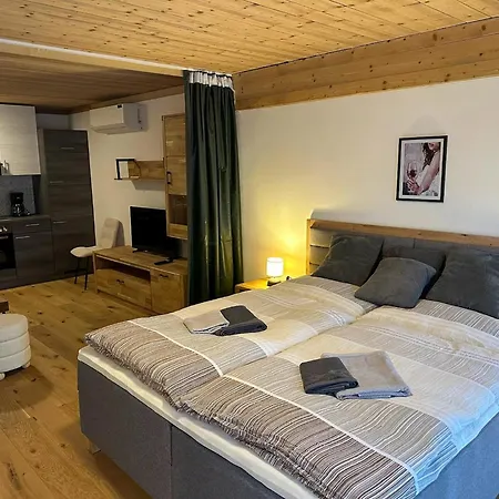 Apartment In Near Slopes, Cleaning Included Saalfelden